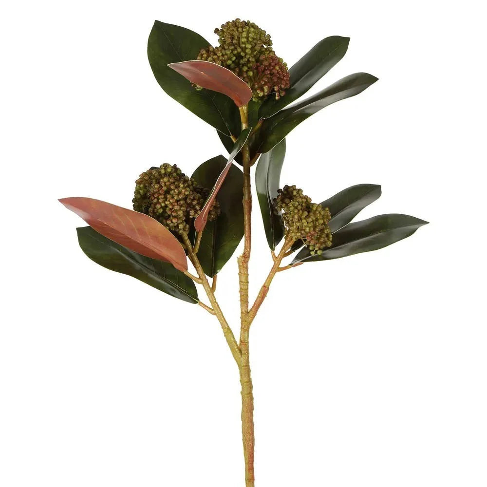 Magnolia Berry Spray