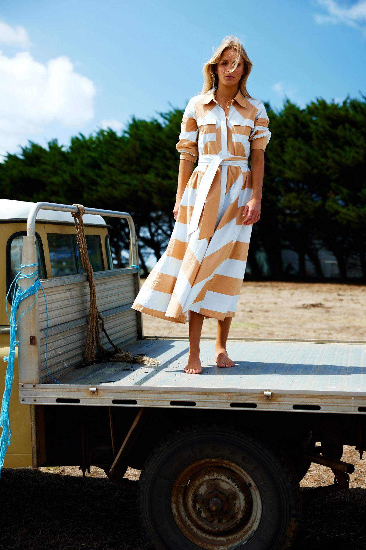 Binny Chestnuts Midi Dress