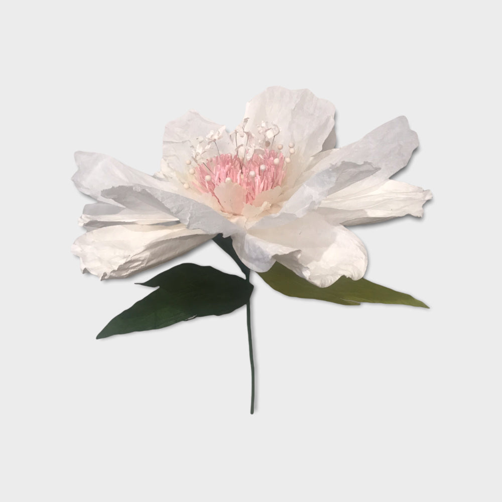 Paper Flower Dancing XL