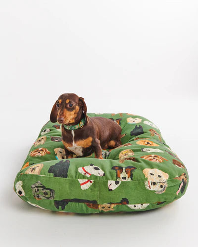 Kip & Co Dog Park Dog Bed Large