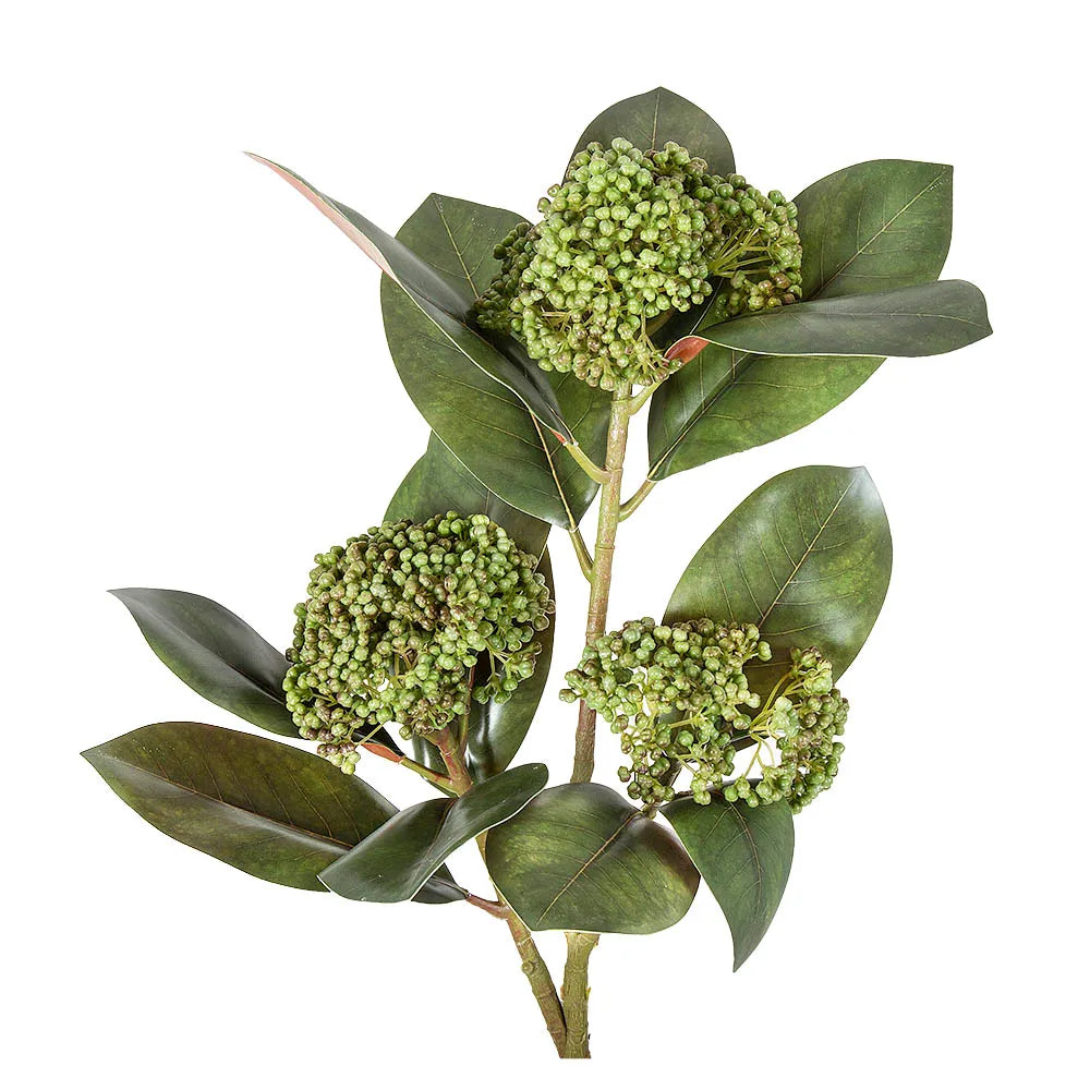 Magnolia Berry Spray