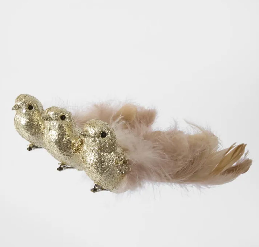 Zara Clip On Bird Set 3