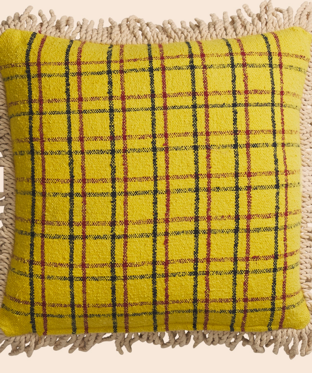 Sage X Clare Carmin Embroidered Cushion