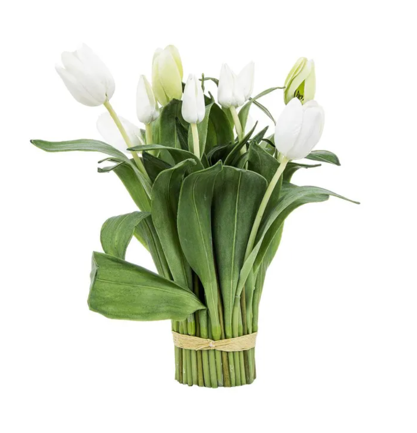 Tulip Bundle Wrapped 40cm White