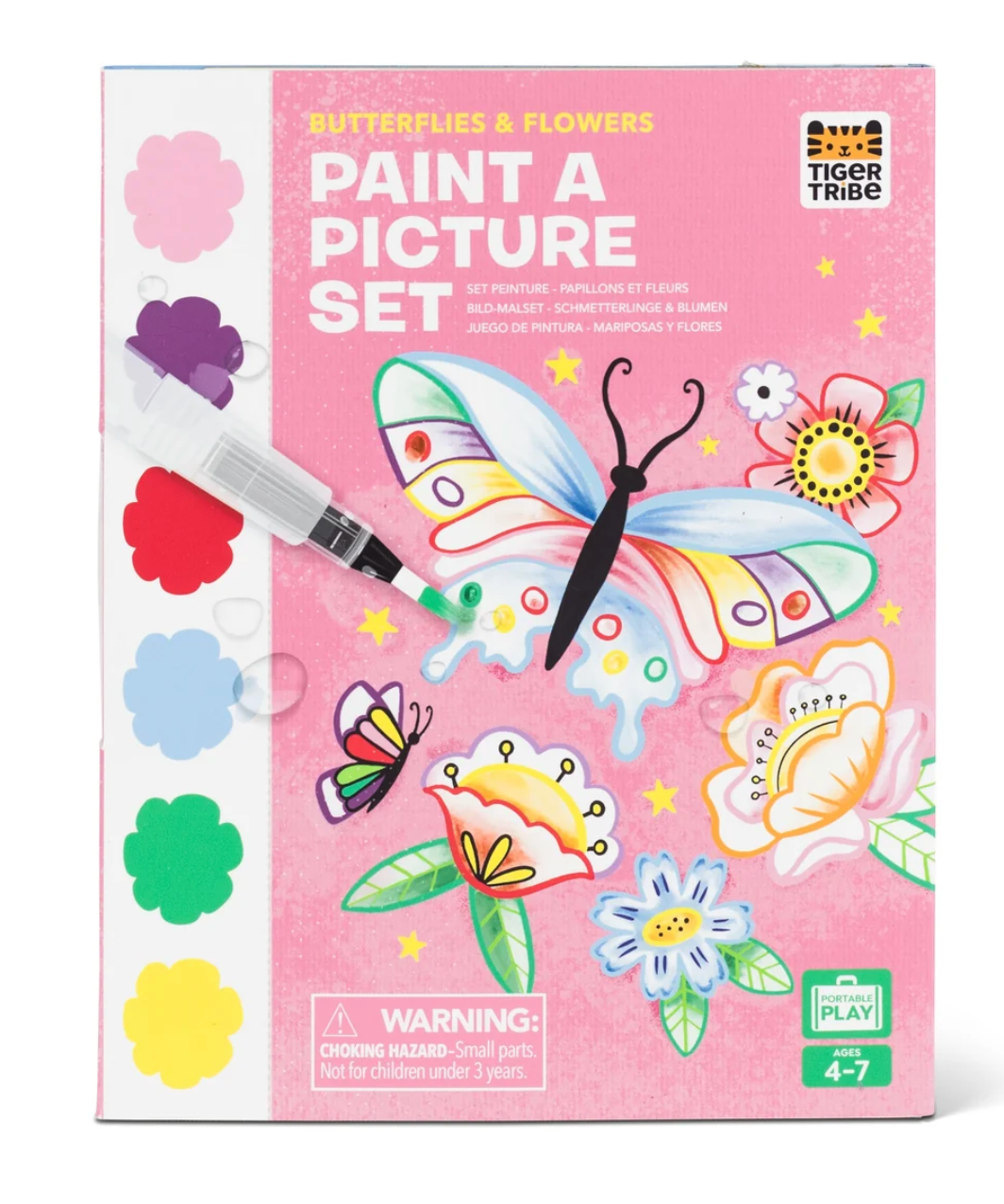 Paint a Picture Set Butterflies & Flowers
