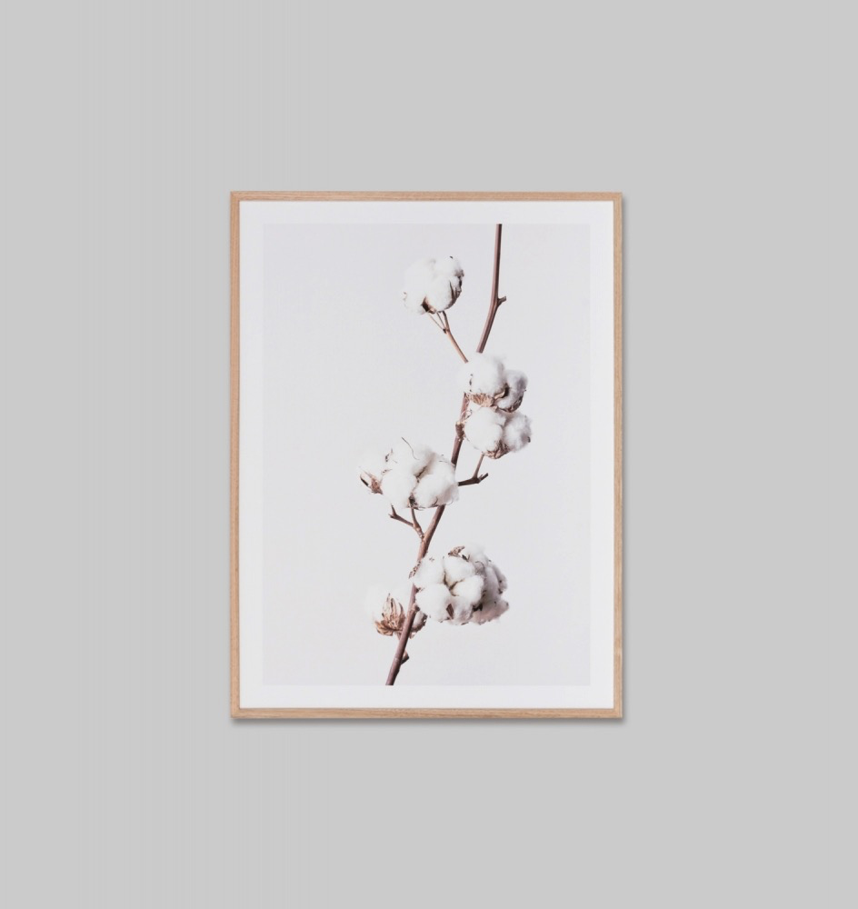 Artwork - White Cotton