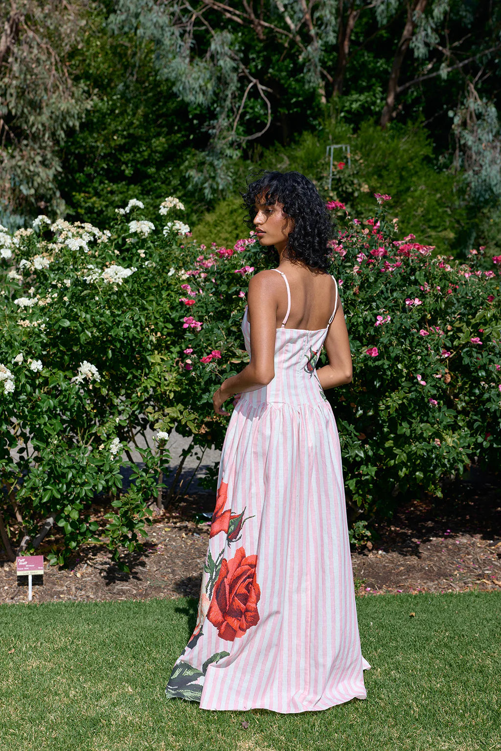 Aston Studio Agatha Dress