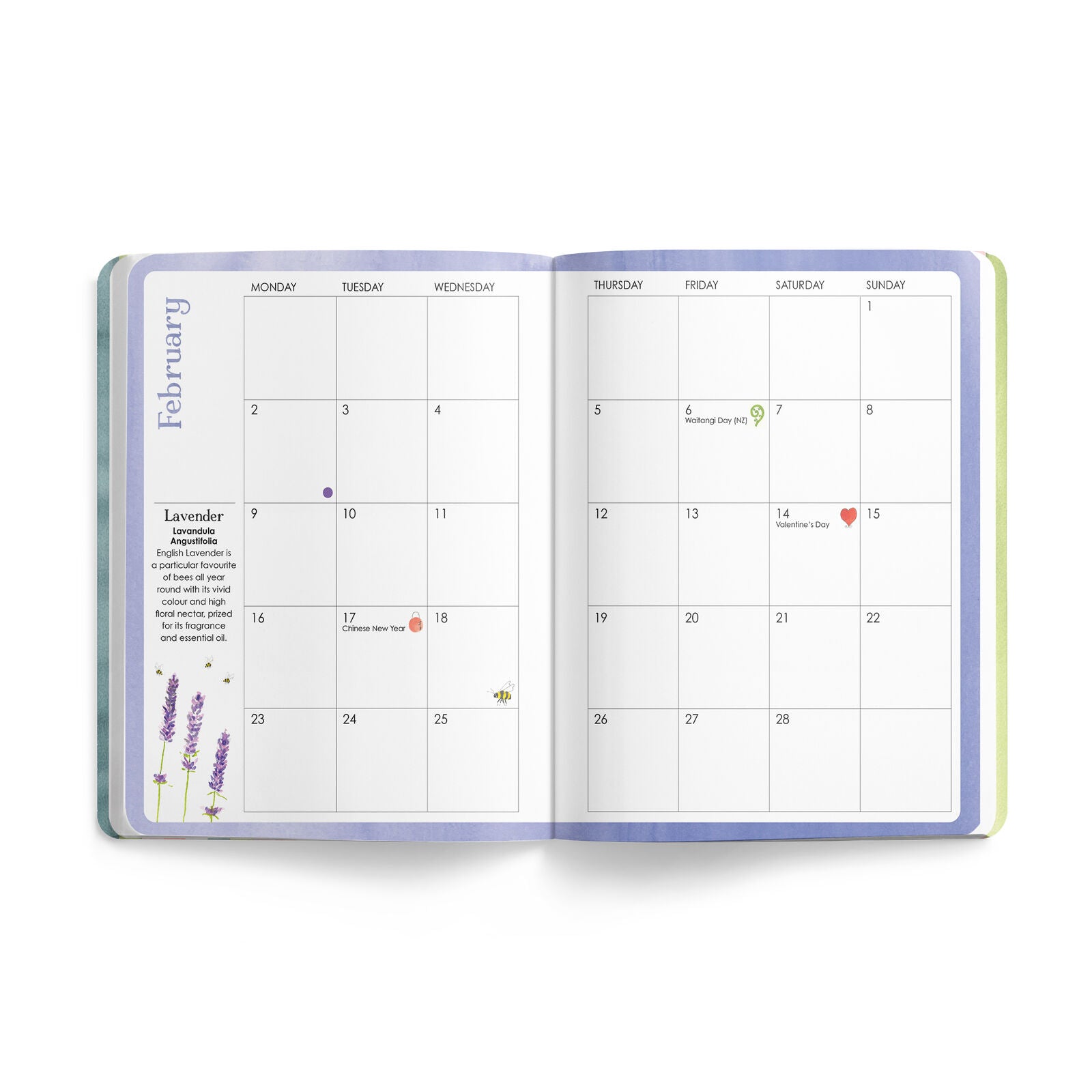 Bee Diary 26