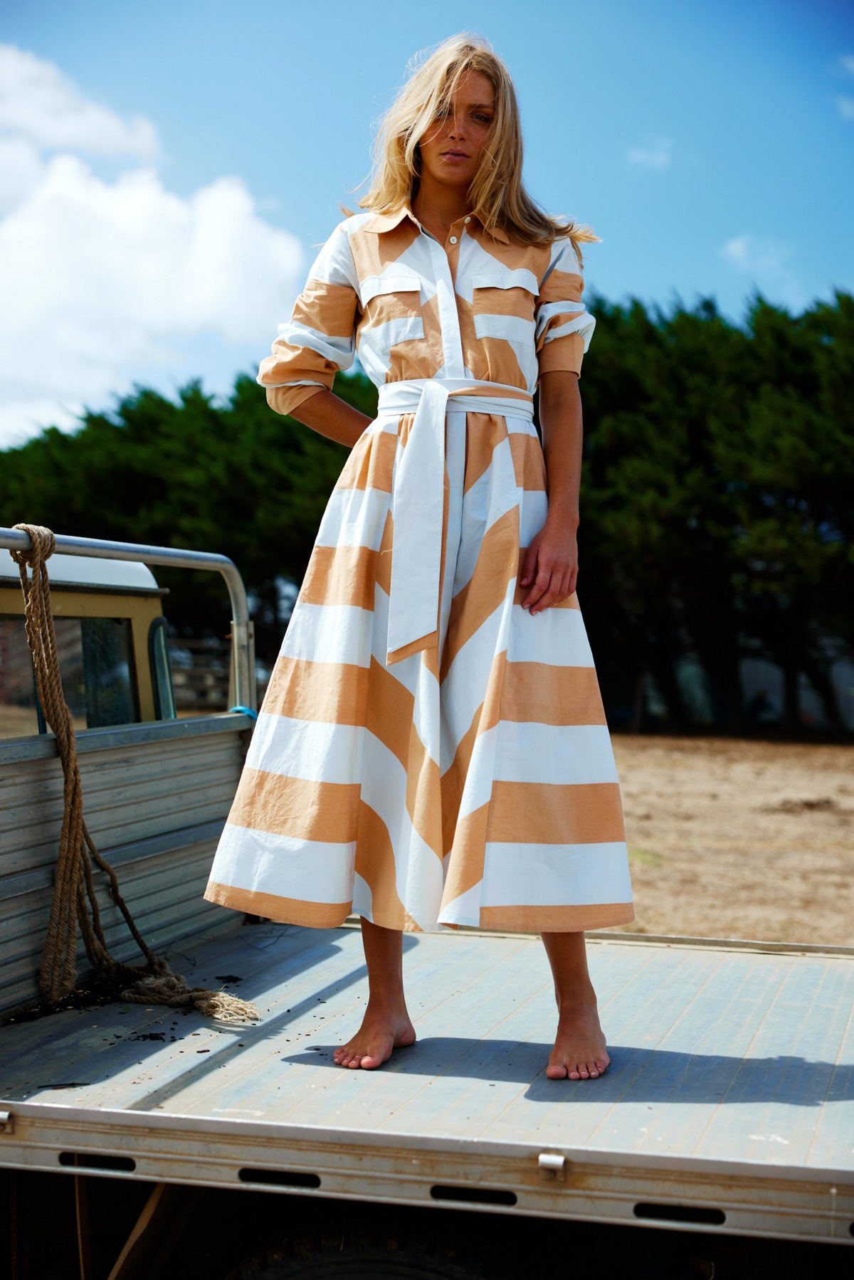 Binny Chestnuts Midi Dress