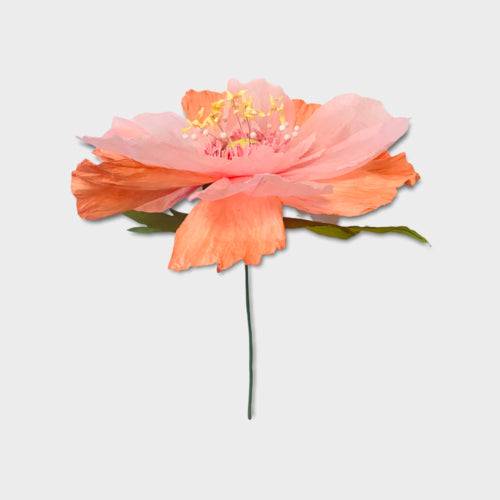 Paper Flower Dancing XL