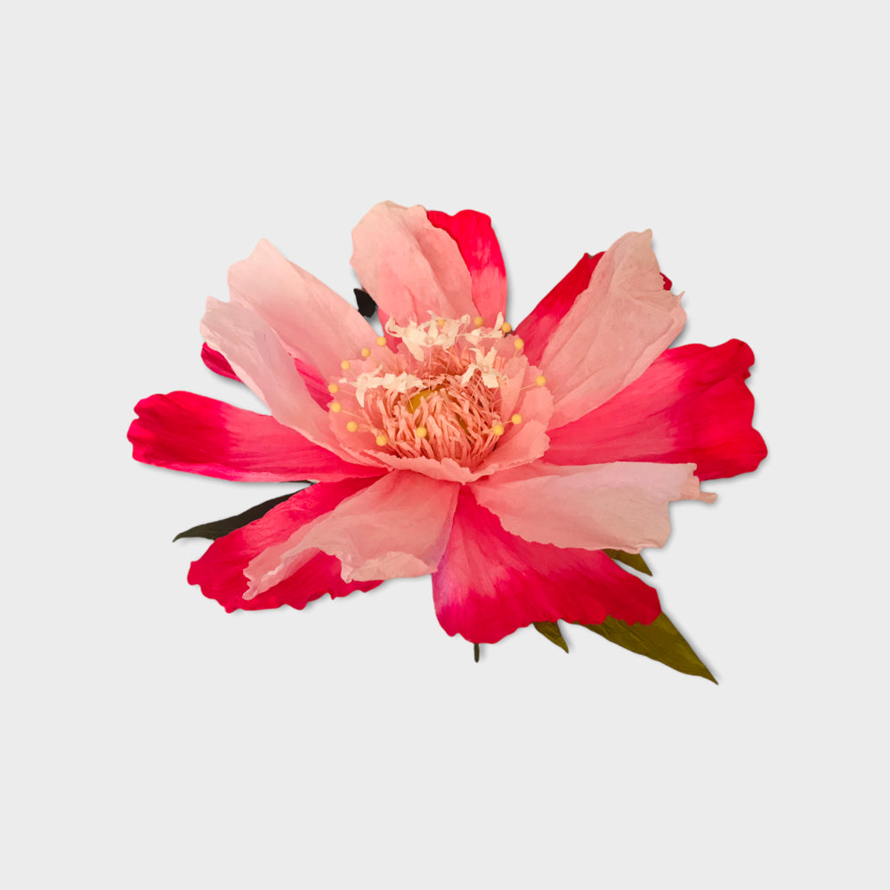 Paper Flower Dancing XL