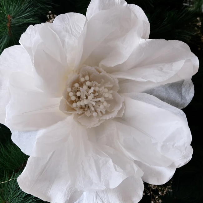 Paper Flower Moonlight XL