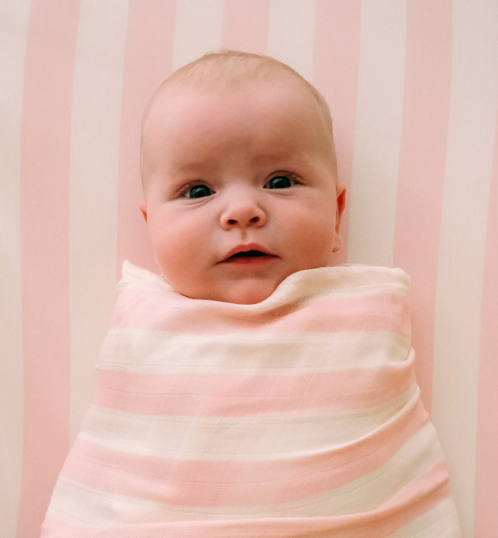 Fox & Fallow Organic Fitted Cot Sheet