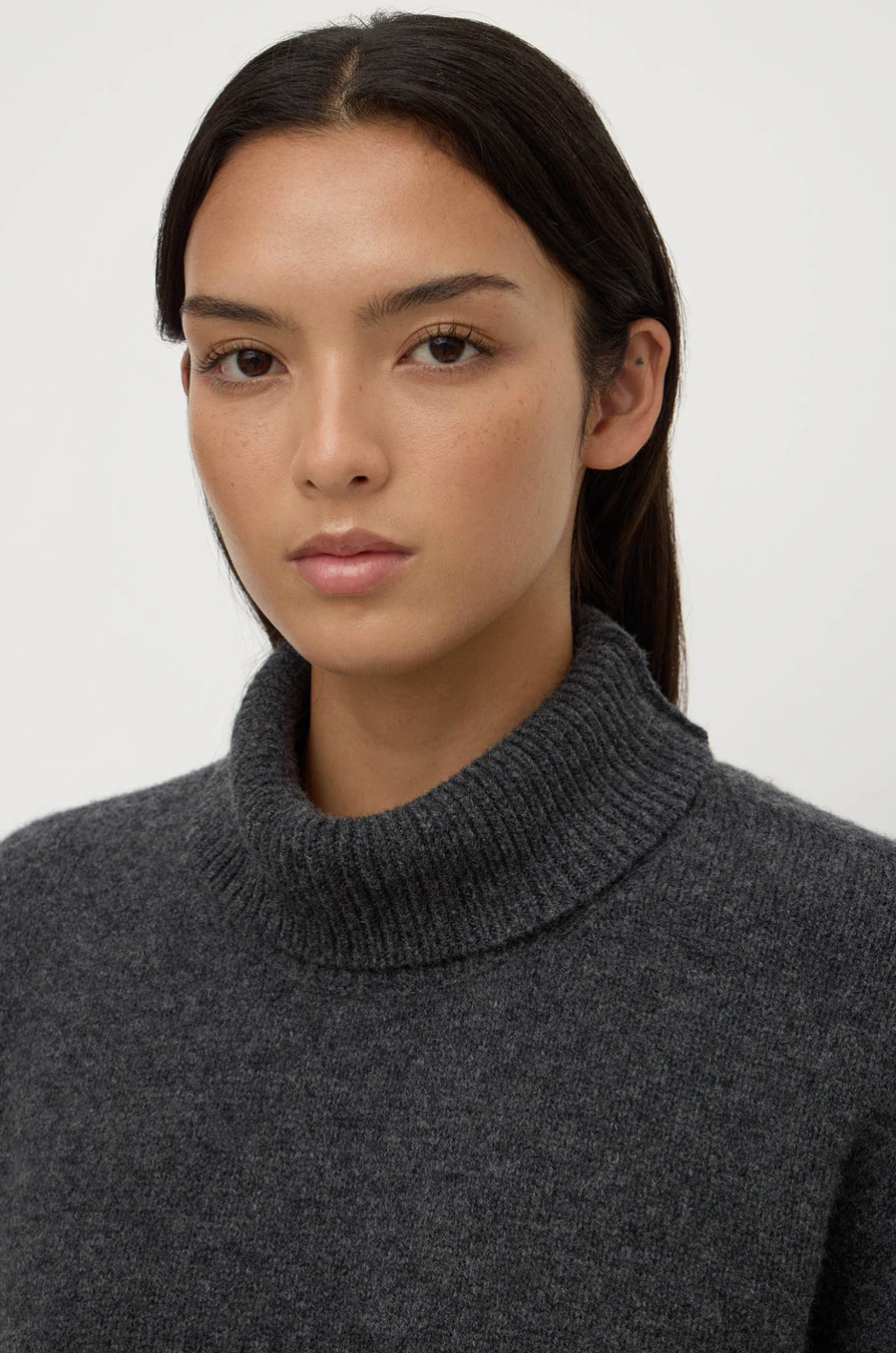 Assembly Label Paris Wool Cashmere Turtleneck