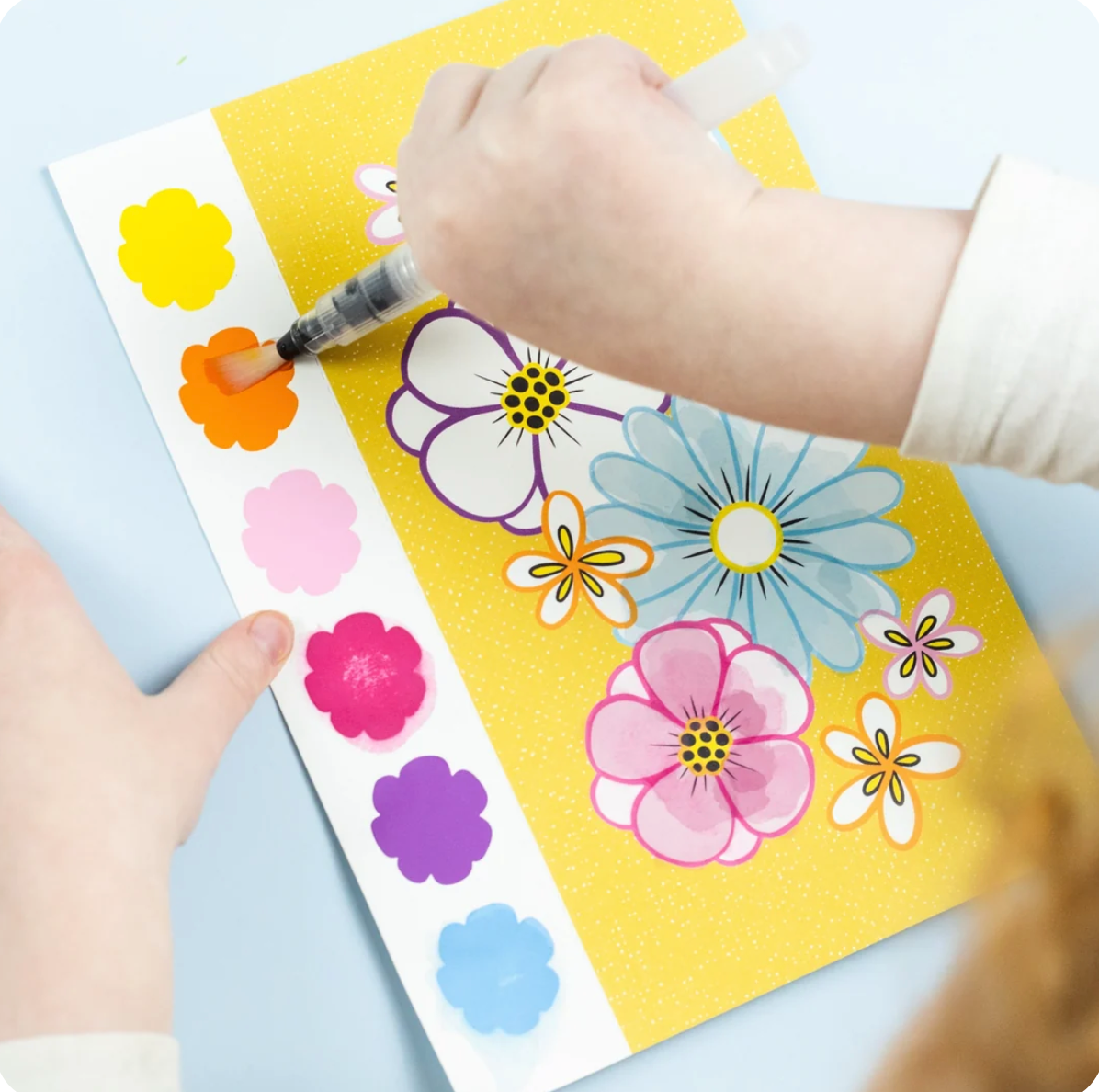 Paint a Picture Set Butterflies & Flowers