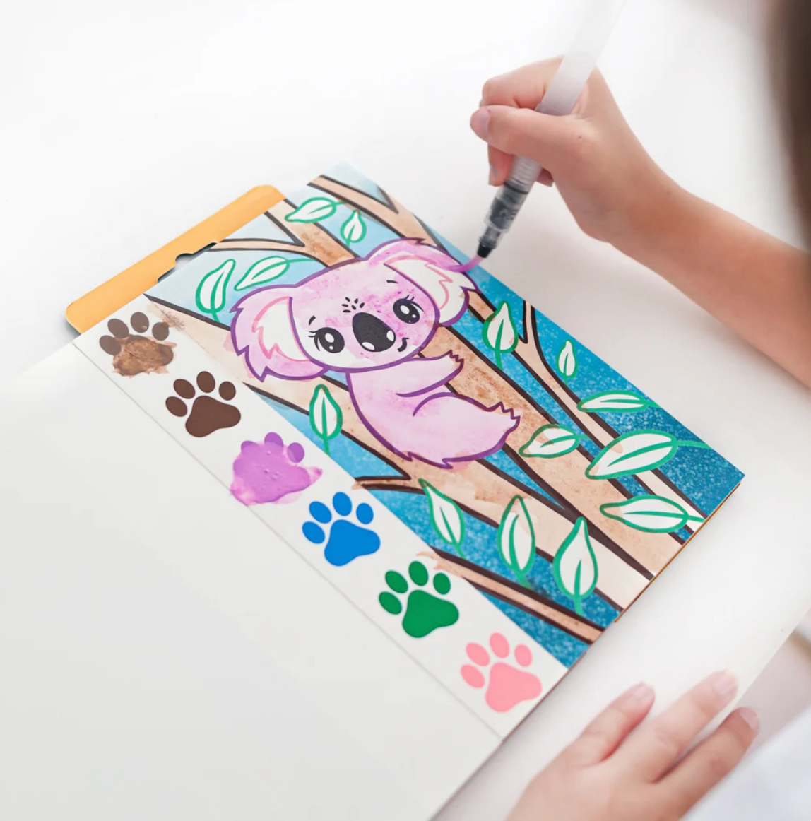 Paint a Picture Set Wild Animals