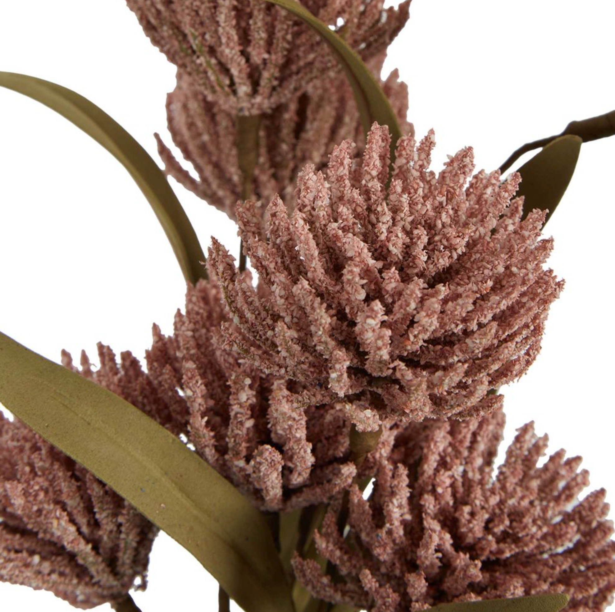 Sea Spike Bunch - Pink